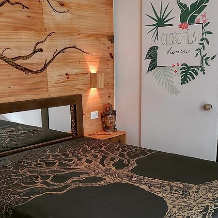 Clorofila House Glamping Naturista Ubatuba Esterno foto
