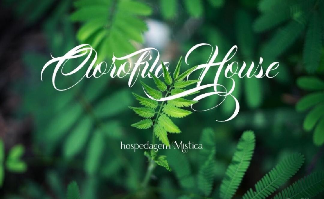 Clorofila House Glamping Naturista Ubatuba Esterno foto