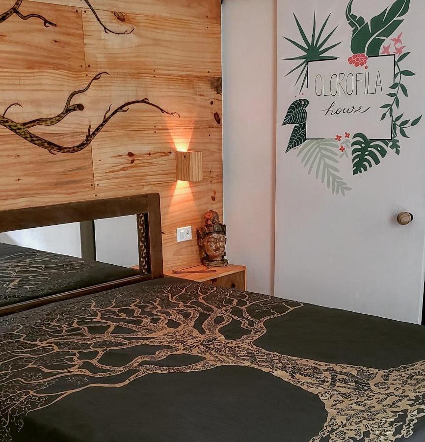 Clorofila House Glamping Naturista Ubatuba Esterno foto