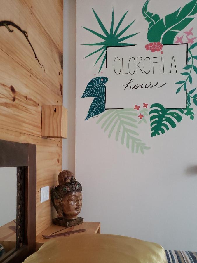 Clorofila House Glamping Naturista Ubatuba Esterno foto