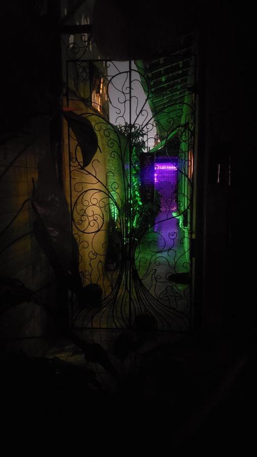 Clorofila House Glamping Naturista Ubatuba Esterno foto