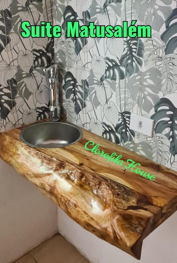 Clorofila House Glamping Naturista Ubatuba Esterno foto