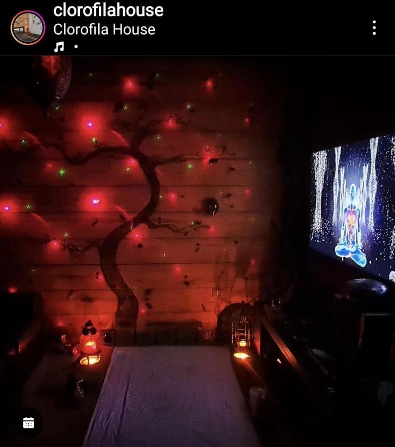 Clorofila House Glamping Naturista Ubatuba Esterno foto