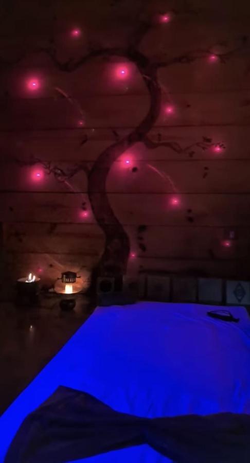 Clorofila House Glamping Naturista Ubatuba Esterno foto